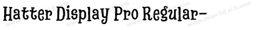 Hatter Display Pro Regular字体转换